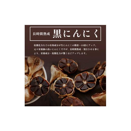 送料無料 ふるさと納税 京都府 舞鶴市 【12回定期便】玄米核酸 黒にんにく 24包×12回 12ヶ月 ペースト 大蒜 舞鶴産黒ニンニク 【LWH2498187388】(88000円)