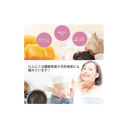 送料無料 ふるさと納税 京都府 舞鶴市 【12回定期便】玄米核酸 黒にんにく 24包×12回 12ヶ月 ペースト 大蒜 舞鶴産黒ニンニク 【LWH2498187388】(88000円)