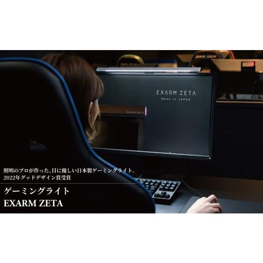 ふるさと納税 千葉県 柏市 ゲーミングライト EXARM ZETA メタリックシルバー [メタリックシルバー]