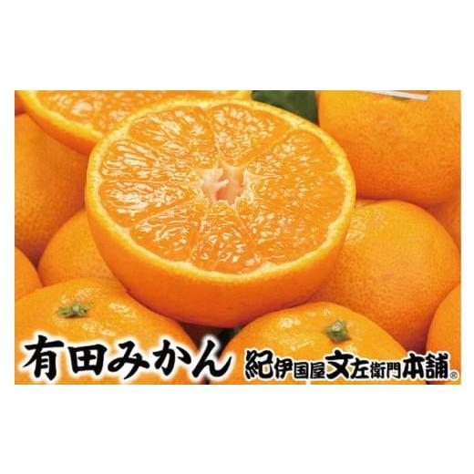 ふるさと納税 果物類 みかん 和歌山県 新宮市 ブランド有田みかん S 秀品10kg /産地直送/薄皮で甘い美味しい和歌山県産/紀伊国屋文左衛門本舗 2026年11月…