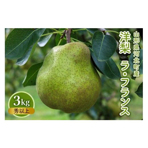 ふるさと納税 梨 山形県 河北町 令和7年産 洋梨「ラ・フランス」 秀以上 3kg かほくらし社 洋ナシ ラフランス 山形 河北町 産地 秀 以上 ka019-021e-r7