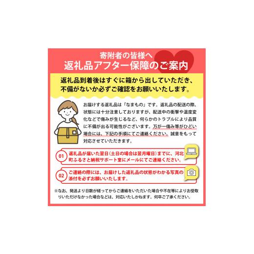 ふるさと納税 もも 山形県 河北町  令和8年産 白桃 「おどろき」 3kg かほくらし社  ka019-016e005-r8の画像