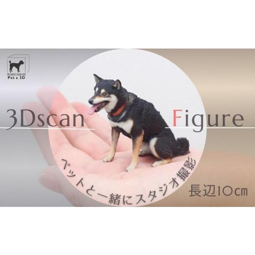 ふるさと納税 人形 東京都 中野区 ペットの3Dスキャンと3Dフルカラープリントによる造形(フィギュア)長辺10cm | ペット 3Dスキャン 犬 猫 記念 プレゼン…