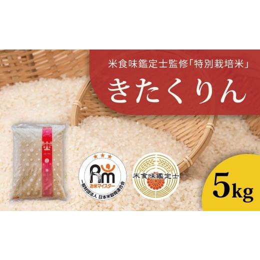 ふるさと納税 米 北海道 当麻町 北海道 農家直送 米食味鑑定士 三ツ星お米マイスター 栽培 監修 舟山農産 令和7年産特別栽培米きたくりん 5kg