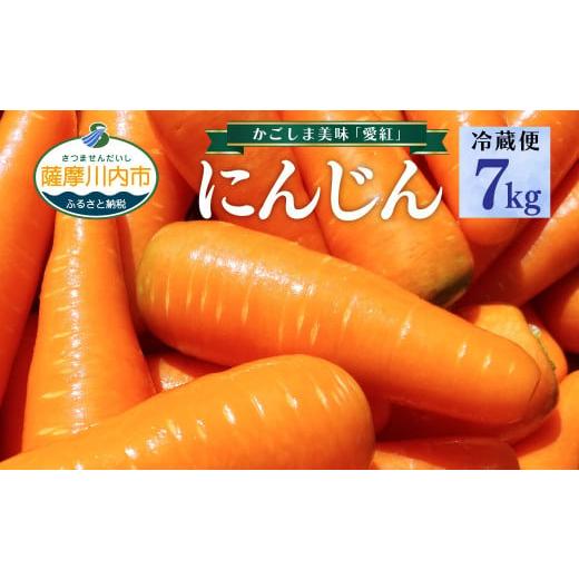 ふるさと納税 野菜類 人参 鹿児島県 薩摩川内市 ZS-959-12 冷蔵便 かごしま美味人参 愛紅 7kg 12月発送 にんじん ニンジン 12月発送分