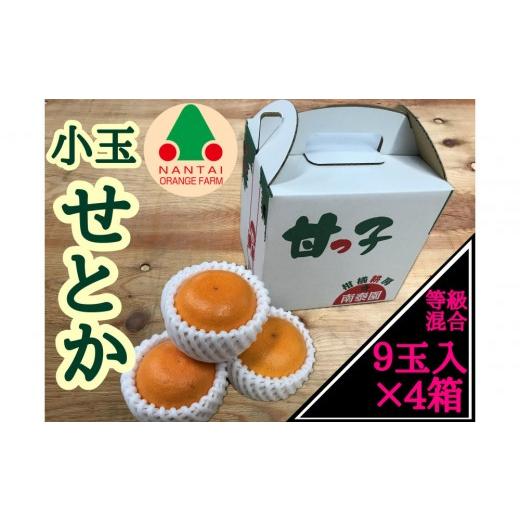 ふるさと納税 みかん・柑橘類 オレンジ 和歌山県 有田川町 [4箱セット]甘っ子 小玉 ハウス せとか 9玉入 × 4箱 手さげ箱 南泰園