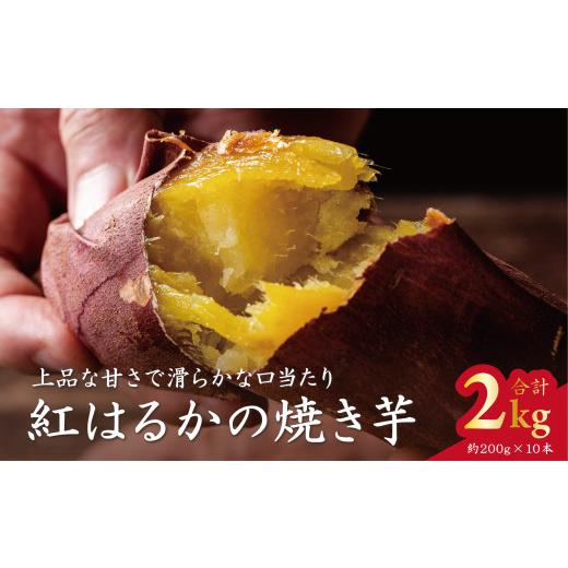 ふるさと納税 野菜類 サツマイモ 茨城県 行方市  ふるさと納税限定 Ms.YAKIIMO 紅はるかの焼き芋 2k（(10本）｜（AP-9）の画像