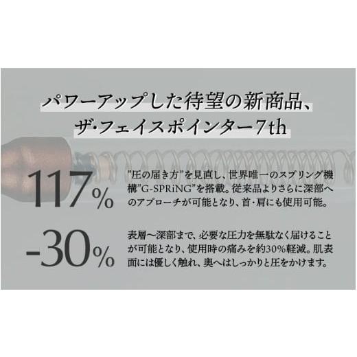 ふるさと納税 美容 福井県 鯖江市 数量限定 The FACE POiNTER 7th
