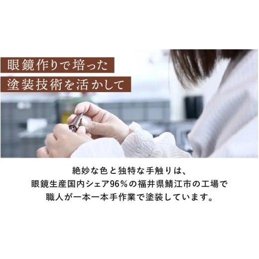 ふるさと納税 美容 福井県 鯖江市 数量限定 The FACE POiNTER 7th