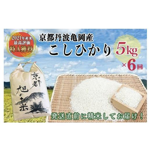 ふるさと納税 米 コシヒカリ 京都府 亀岡市 コシヒカリ 米 定期便 5kg 6回 計30kg丹波 亀岡産 「京都 旭のお米」なごみの里あさひ 令和7年産 米 白米 精米 北…_1