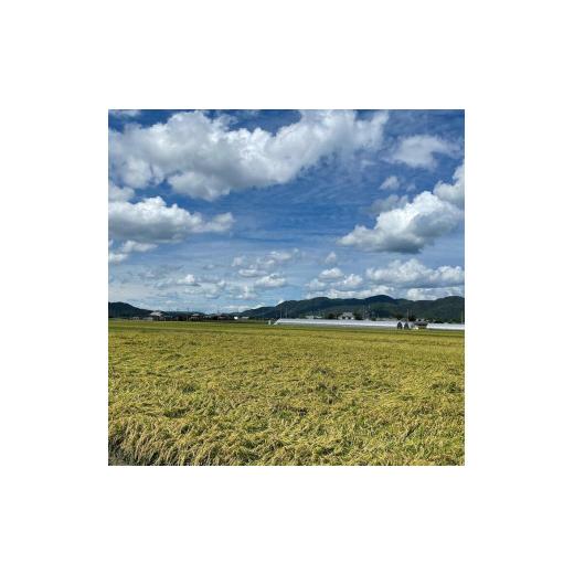 ふるさと納税 米 コシヒカリ 京都府 亀岡市 コシヒカリ 米 定期便 5kg 6回 計30kg丹波 亀岡産 「京都 旭のお米」なごみの里あさひ 令和7年産 米 白米 精米 北…_3