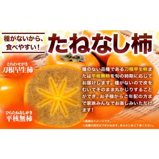 ふるさと納税 果物類 柿 和歌山県 紀の川市  先行予約 柿 お試し用 高級ブランド柿「黒あま」 紀の川柿 約1.5kg(4〜6個) 4L〜2L《2026年10月中旬-11月末頃出荷…_2