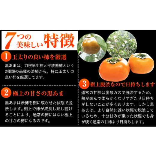 ふるさと納税 果物類 柿 和歌山県 紀の川市  先行予約 柿 お試し用 高級ブランド柿「黒あま」 紀の川柿 約1.5kg(4〜6個) 4L〜2L《2026年10月中旬-11月末頃出荷…_3