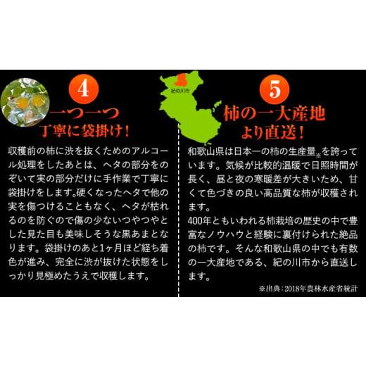 ふるさと納税 果物類 柿 和歌山県 紀の川市  先行予約 柿 お試し用 高級ブランド柿「黒あま」 紀の川柿 約1.5kg(4〜6個) 4L〜2L《2026年10月中旬-11月末頃出荷…_4