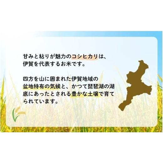 ふるさと納税 米 コシヒカリ 三重県 伊賀市 定期便 令和7年産 伊賀米