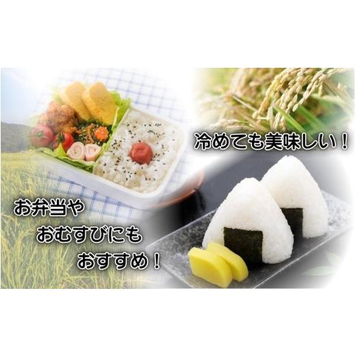 ふるさと納税 米 コシヒカリ 三重県 伊賀市 定期便 令和7年産 伊賀米