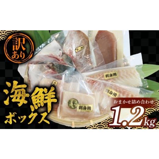 ふるさと納税 魚貝類 三重県 南伊勢町 訳あり 海鮮ボックス 1.2kg セット 海鮮 魚介類 魚 鮮魚 冷凍 まぐろ マグロ 鯛 かんぱち 勘八 シマアジ ヒラマサ 刺身 …