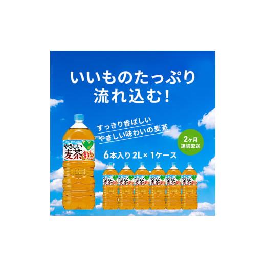 ふるさと納税 神奈川県 綾瀬市 麦茶 定期便 2ヶ月 GREEN DA・KA・RA やさしい麦茶 2L×6本 ペットボトル