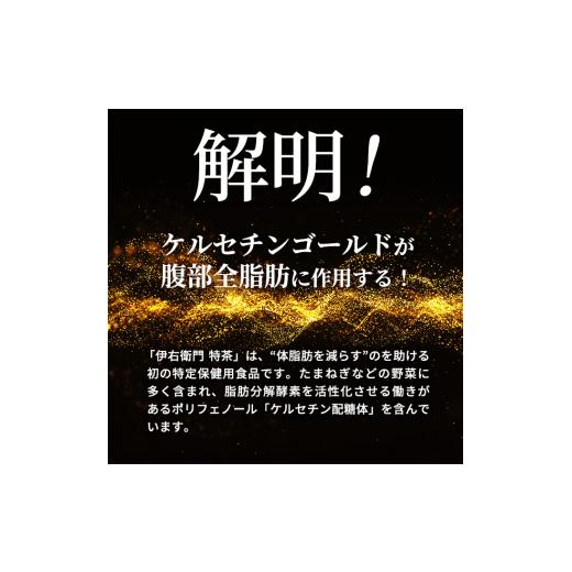ふるさと納税 お茶類 緑茶（飲料） 神奈川県 綾瀬市 お茶 定期便 3ヶ月 伊右衛門 特茶 500ml × 24本 サントリー 特定保健用食品 トクホ 緑茶 ペットボトル 50…_2