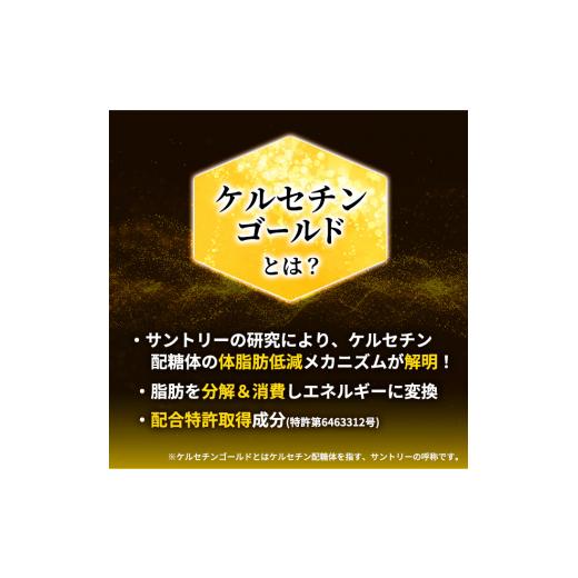 ふるさと納税 お茶類 緑茶（飲料） 神奈川県 綾瀬市 お茶 定期便 3ヶ月 伊右衛門 特茶 500ml × 24本 サントリー 特定保健用食品 トクホ 緑茶 ペットボトル 50…_3