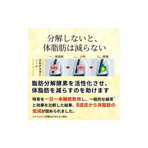 ふるさと納税 お茶類 緑茶（飲料） 神奈川県 綾瀬市 お茶 定期便 3ヶ月 伊右衛門 特茶 500ml × 24本 サントリー 特定保健用食品 トクホ 緑茶 ペットボトル 50…_4