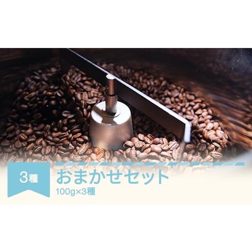 ふるさと納税 コーヒー コーヒー豆 山形県 村山市 コーヒー おまかせセット 100g×3種セット 豆 rv-cfomx300-m コーヒー豆 100g×3種