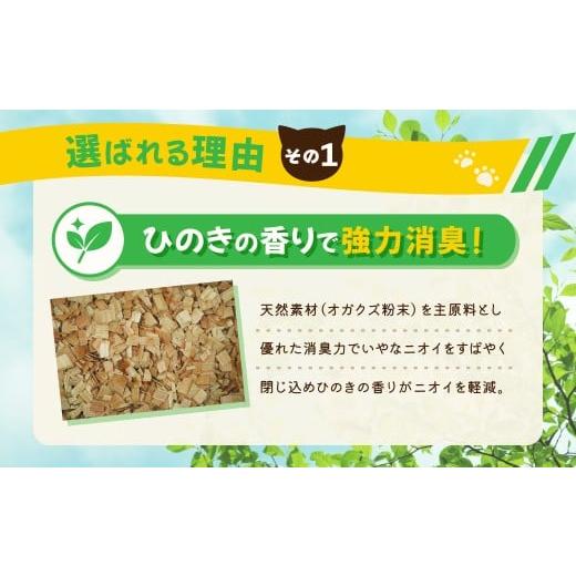 ふるさと納税 雑貨・日用品 茨城県 常陸太田市  3か月定期便 猫用 トイレ砂 木製 大粒 ひのきの香り 6L×6袋×3回 | 天然素材 猫砂 猫 トイレ 砂 ねこ ネコ ペ…の画像