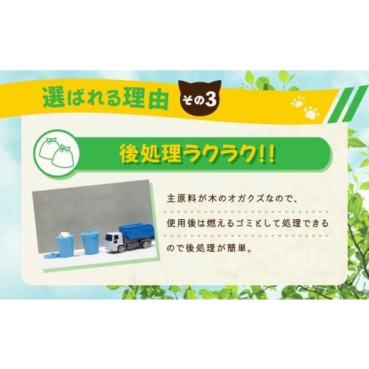 ふるさと納税 雑貨・日用品 茨城県 常陸太田市  3か月定期便 猫用 トイレ砂 木製 大粒 ひのきの香り 6L×6袋×3回 | 天然素材 猫砂 猫 トイレ 砂 ねこ ネコ ペ…の画像