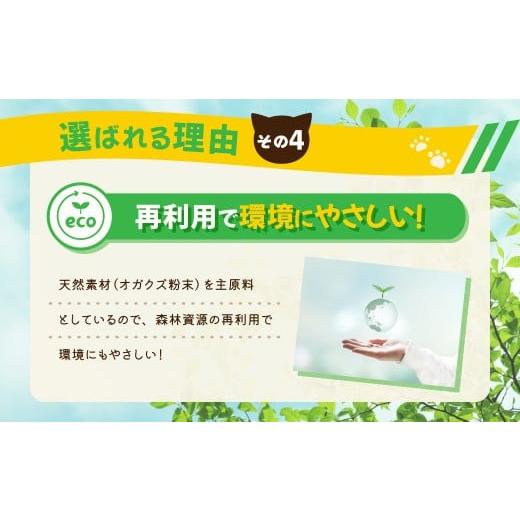 ふるさと納税 雑貨・日用品 茨城県 常陸太田市  3か月定期便 猫用 トイレ砂 木製 大粒 ひのきの香り 6L×6袋×3回 | 天然素材 猫砂 猫 トイレ 砂 ねこ ネコ ペ…の画像