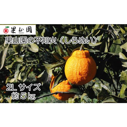 ふるさと納税 みかん・柑橘類 デコポン 愛媛県 四国中央市 果山園の不知火 2Lサイズ 約5kg みかん 柑橘 フルーツ 旬 あまい 濃厚 産地直送