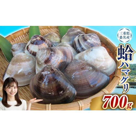 ふるさと納税 しじみ・あさり・蛤 蛤(はまぐり) 三重県 桑名市 指定日必須 7月・8月発送不可 丸元水産 桑名産蛤(ハマグリ)0.7kg はまぐり ハマグリ 蛤 活…