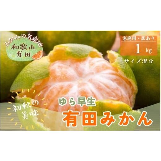 ふるさと納税 果物類 みかん 和歌山県 新宮市 初秋の美味 ご家庭用ゆら早生有田みかん 約1kg+200g(傷み補償分) サイズ混合 2026年10月中旬〜11月上旬頃に順…