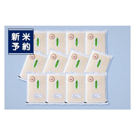 ふるさと納税 米 コシヒカリ 新潟県 村上市  新米受付・令和8年産米 備蓄米としても便利 新潟県村上市岩船産 コシヒカリ・真空パック白米24kg（2kg×12袋） ND…の画像