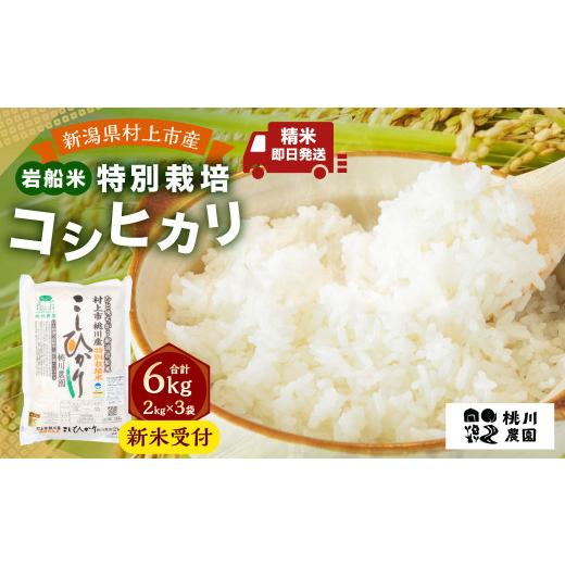 ふるさと納税 米 コシヒカリ 新潟県 村上市 新米受付・令和8年産米 精米即日発送 新潟県村上市桃川産 特別栽培コシヒカリ6kg(2kg×3袋)NA4209