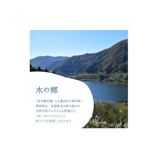 ふるさと納税 水・ミネラルウォーター 500mL〜999mL 山形県 西川町  定期便 月山自然水500ml×24本×3ヶ月コース 天然水 国産 備蓄 防災 保存 ペットボトル ナ…_4