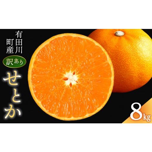 ふるさと納税 果物類 みかん 和歌山県 有田川町 せとか 別名-みかんの大トロ 和歌山県有田川町産 オレンジ 訳あり 8kg 8kg[27,000円]