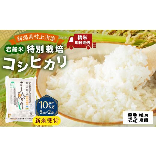 ふるさと納税 米 コシヒカリ 新潟県 村上市 新米受付・令和8年産米 精米即日発送 新潟県村上市桃川産 特別栽培コシヒカリ10kg(5kg×2袋)NAB4038