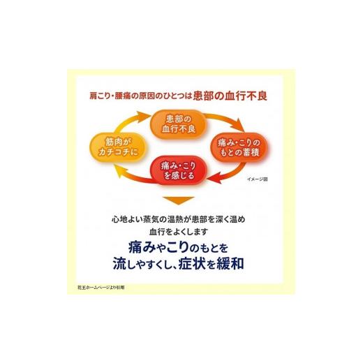 ふるさと納税 山形県 酒田市 SG0023　めぐりズム 蒸気の温熱シート　肌に直接貼るタイプ　16枚入×12箱｜furusatochoice｜04