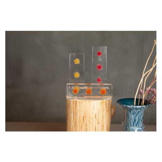 ふるさと納税 雑貨・日用品 インテリア 大阪府 河内長野市 お花を閉じ込めたアクリル置物 ヘリクリサム 3色からお選びください f-ofjet インテリア オブジェ