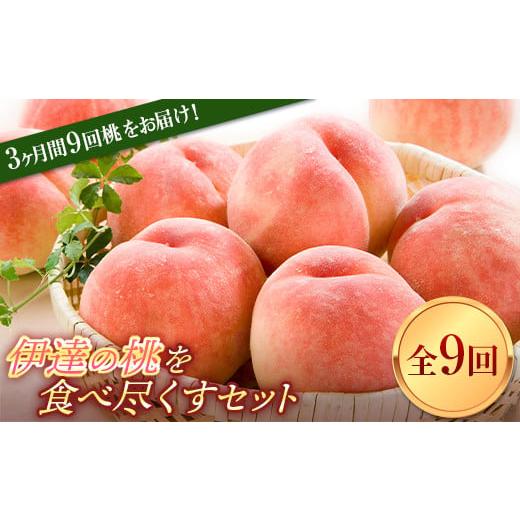 ふるさと納税 もも 福島県 伊達市 2026年出荷分先行予約 福島県産 定期便 伊達の桃を食べ尽くすセット 全9回 各約2kg はつひめ ふくあかり あかつき まどか …
