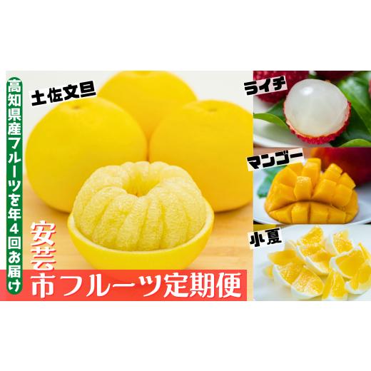 ふるさと納税 果物の詰合せ 高知県 安芸市 年4回 旬のフルーツ定期便 季節のフルーツセット ライチ 土佐文旦 マンゴー 小夏 定期便 ふるーつ定期便 果物定期…