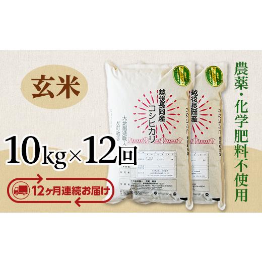 ふるさと納税 玄米 新潟県 長岡市 E1-G10ZB 12ヶ月連続お届け 新潟県