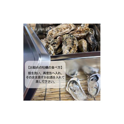 ふるさと納税 牡蠣 生牡蠣 北海道 北見市  取って置く：2026年10月下旬から順次送りとどける サロマ湖産2年牡蠣 2kg缶 約12〜18個入 ( 柿 牡蠣 かき 2kg 2キログラム 缶 サロマ湖…