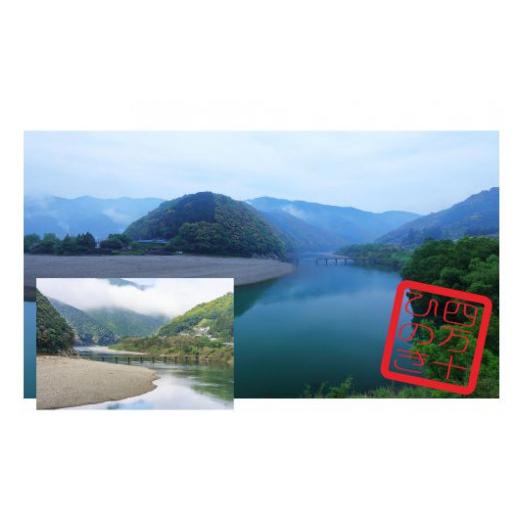 ふるさと納税 木工品・竹工品 高知県 四万十市 26-306．四万十ヒノキ印鑑セット 12mm 銀行印におすすめの画像
