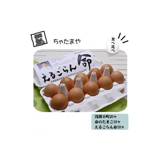 ふるさと納税 卵（鶏、烏骨鶏等） 長野県 佐久市 ちゃたまや 浅間小町