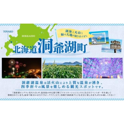 ふるさと納税 惣菜・レトルト 冷凍 北海道 洞爺湖町 定期便 6カ月連続 パーラーふくだ特製 焼きチーズカレー 2食 ミートドリア 2食 伊達産鶏の照り焼きチキン…_7