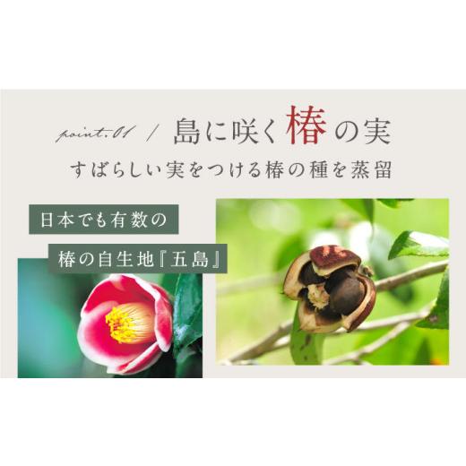 ふるさと納税 お酒 長崎県 五島市 3回定期便 GOTOGIN（ゴトジン）500ml