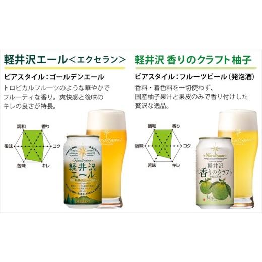 ふるさと納税 ビール 地ビール 長野県 佐久市  12ヶ月定期便 THE軽井沢ビール 10種20缶 飲み比べ セット クラフトビール 地ビール 軽井沢ブルワリー THE軽井沢…_7