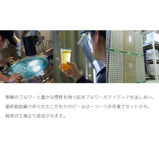 ふるさと納税 ビール 地ビール 長野県 佐久市  12ヶ月定期便 THE軽井沢ビール 10種20缶 飲み比べ セット クラフトビール 地ビール 軽井沢ブルワリー THE軽井沢…_9