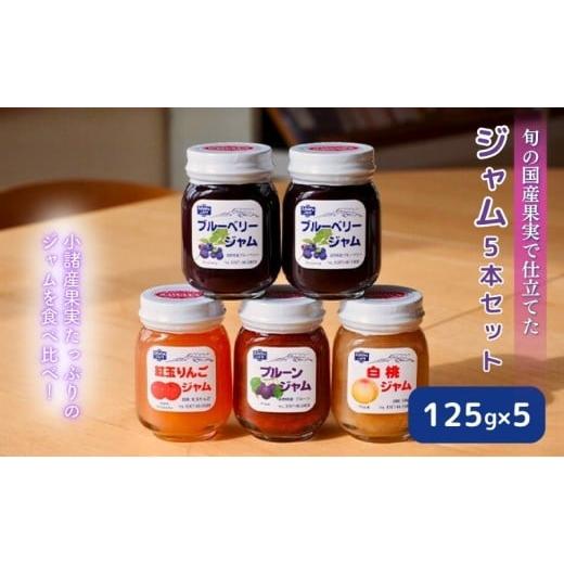 ふるさと納税 ジャム ブルーベリー 長野県 小諸市 信州小諸産果実使用のジャム125g×5本セット  